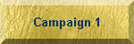 Campaign 1